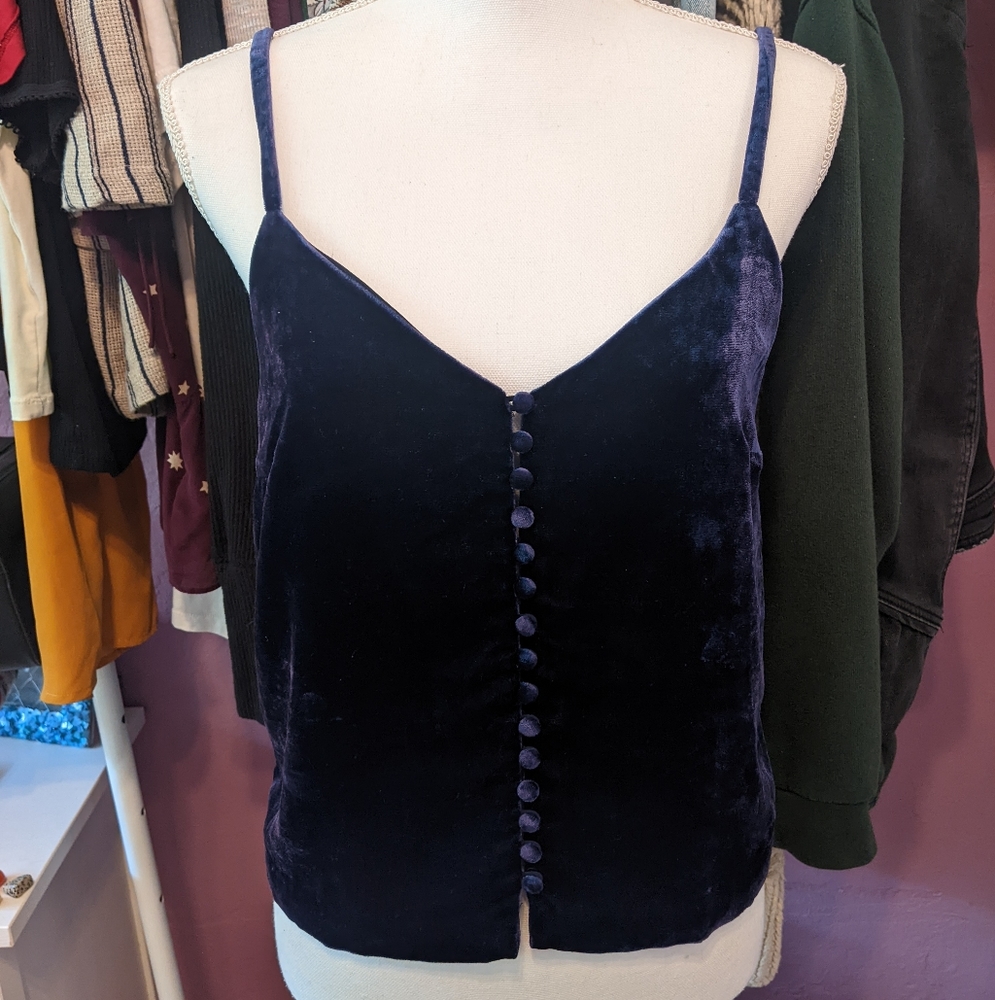 Madewell Blue Velvet Button-Down Cami